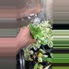 plant/Syngonium albo growers choice-0-thumbnail