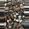 plant/Chunky aroid mix-0-thumbnail