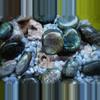 plant/PET ROCK for your Plant purchase-0-thumbnail