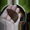 plant/Succor Creek agate, polished pendant slice-3-thumbnail