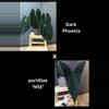 plant/Anthurium “Dark Phoenix” x portillae “NSE” (Purge special)-1-thumbnail