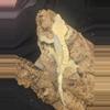plant/Extreme Harlequin male crested.-0-thumbnail