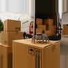 plant/2Day Shipping-0-thumbnail