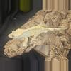 plant/Extreme Harlequin male crested.-1-thumbnail