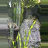 plant/Rare Yellow Antenae Rabbit Snail-0-thumbnail