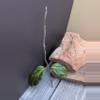 plant/Hoya Crocodile top cut-0-thumbnail