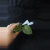 plant/P35-9 (pap x mag) x forgetii-0-thumbnail