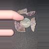 plant/Aurolite 23, 5 Pieces from Canada-0-thumbnail