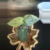 plant/ZM x pap-0-thumbnail