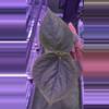 plant/Kuna PM5 x PM3-1-thumbnail