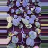 plant/Chocolate crystal x TA Stripey-0-thumbnail