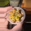 plant/Gymno-0-thumbnail
