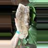 plant/Elestial smokey quartz (alligator quartz)-0-thumbnail