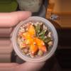 plant/Gymno-1-thumbnail