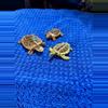 plant/Turtle Lot 3-0-thumbnail