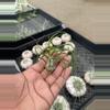 plant/Tillandsia Bulbosa Med.-0-thumbnail