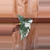 plant/Syngoinium Albo-0-thumbnail