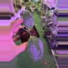 plant/Hoya collina x anulata 3”-0-thumbnail