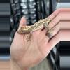 plant/Tricolor Pinstripe male (great lineage)-2-thumbnail