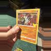 plant/Groudon holo  celebration-0-thumbnail