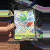 plant/Shamin V-0-thumbnail