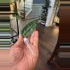 plant/Hoya Amoena-0-thumbnail