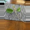 plant/hoya monetteae-0-thumbnail