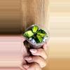 plant/Hoya Asami Inner Var. Unrooted-0-thumbnail