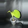 plant/Monstera Lemon Lime-0-thumbnail