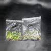 plant/Philodendron Pluto 5pk (Caramel Marble Chance Pack) GC-0-thumbnail