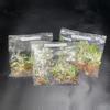 plant/Philodendron Pink Princess Marble 5pk GC-0-thumbnail