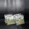 plant/Philodendron Tortum 5pk GC-0-thumbnail