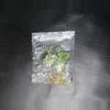 plant/Philodendron Spiritus Sancti-0-thumbnail