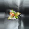 plant/Philodendron Red Cherry -0-thumbnail
