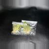 plant/Homalomena Mint Mellon GC-0-thumbnail