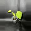 plant/Monstera Lemon Lime-1-thumbnail