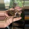 plant/Tigers Eye Bundle-0-thumbnail