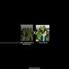plant/Anthurium (Fort Sherman x Blue Pap) x FTG RLFS-1-thumbnail