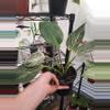 plant/Birkin-0-thumbnail