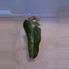plant/Philodendron Variegated Domesticum!-0-thumbnail