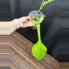 plant/Philodendron Joepii GoG-1-thumbnail