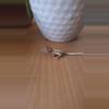 plant/Vidalia - Crested gecko-0-thumbnail