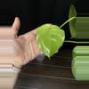 plant/Monstera Silver Star-2-thumbnail