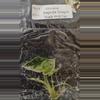 plant/Alocasia Baginda Dragon Scale Mint Tissue Culture Grower's Choice-3-thumbnail