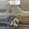 plant/Alocasia Cuprea Mint Pink Variegated Tissue Culture Grower's Choice-0-thumbnail
