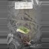 plant/Alocasia Blackstem Variegated TC Grower's Choice-2-thumbnail