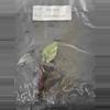plant/Alocasia Blackstem Variegated TC Grower's Choice-3-thumbnail