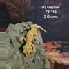 plant/FT-118-0-thumbnail
