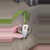 plant/Monstera Esqueletto-2-thumbnail