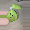 plant/Monstera Esqueletto-1-thumbnail